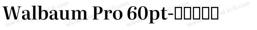 Walbaum Pro 60pt字体转换